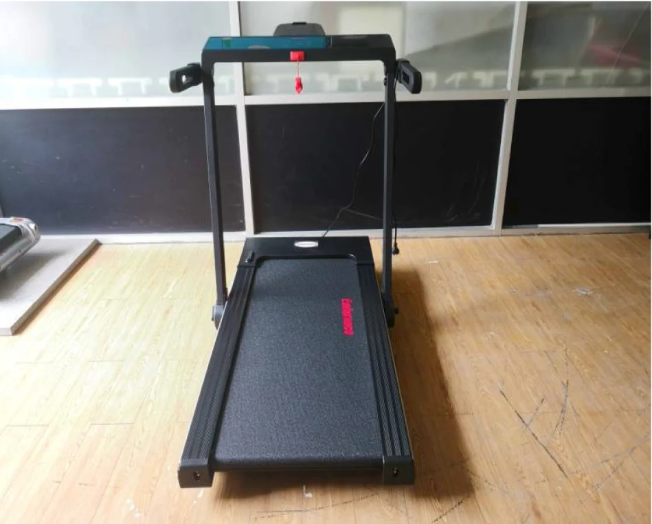 Endurance Athlete Treadmill on gym